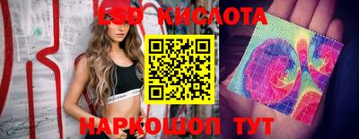 PSILOCYBIN Бугуруслан