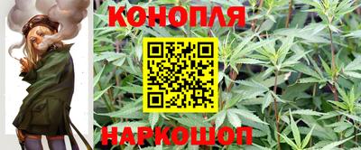 PSILOCYBIN Бугуруслан