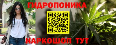 PSILOCYBIN Бугуруслан