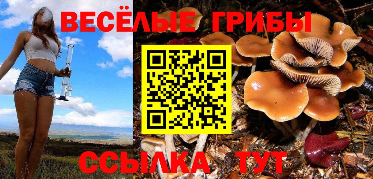 Галлюциногенные грибы прущие грибы Михайловка