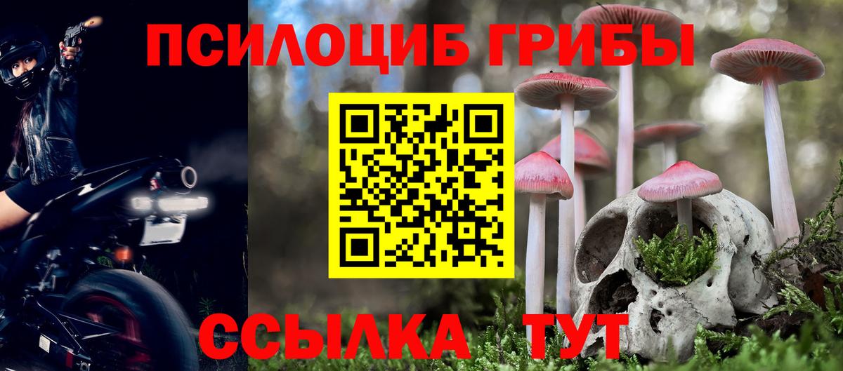 Михайловка  Галлюциногенные грибы прущие грибы  Вход с VPN 
